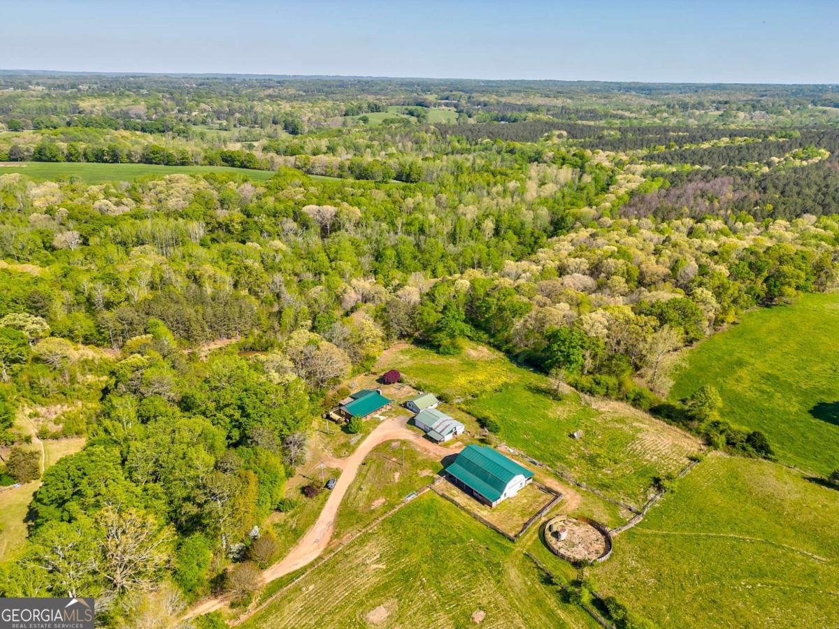 1288 Reavesville Road Bowdon - 13