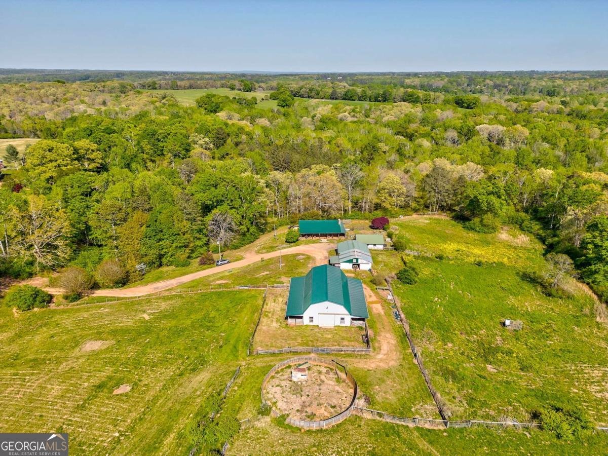 1288 Reavesville Road Bowdon - 14