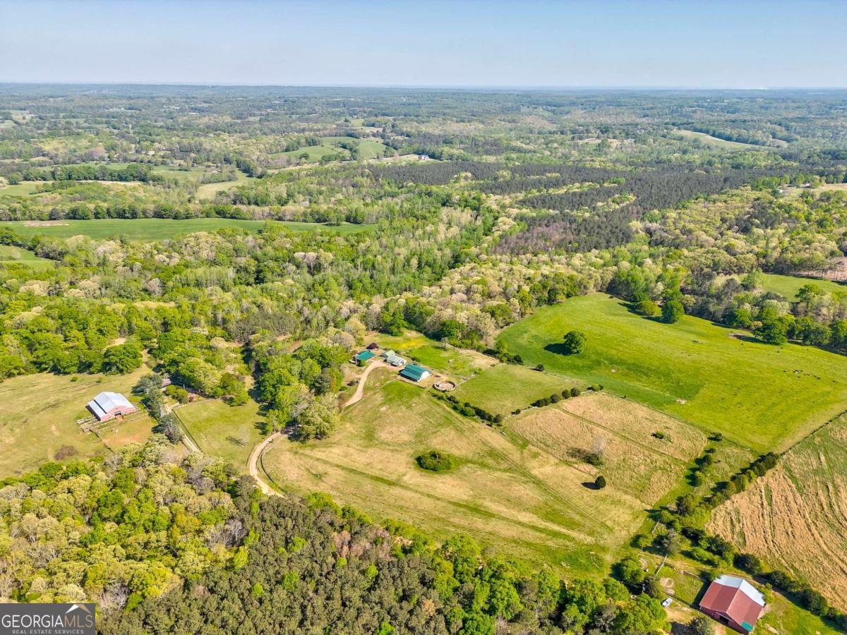 1288 Reavesville Road Bowdon - 15