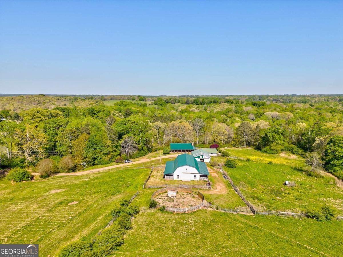 1288 Reavesville Road Bowdon - 16