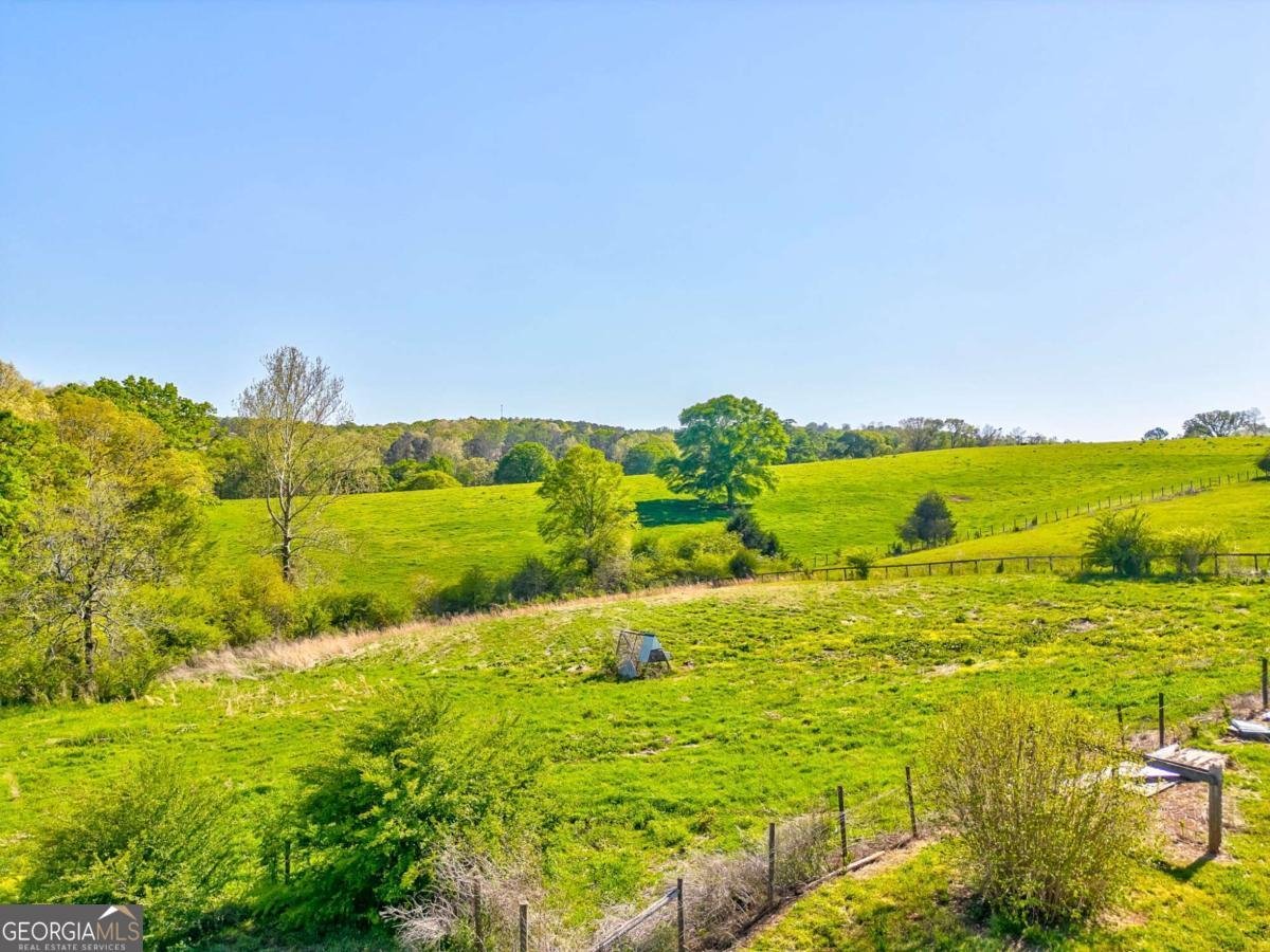 1288 Reavesville Road Bowdon - 18