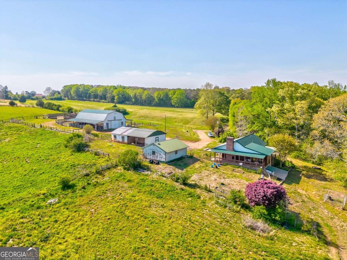 1288 Reavesville Road Bowdon - 19