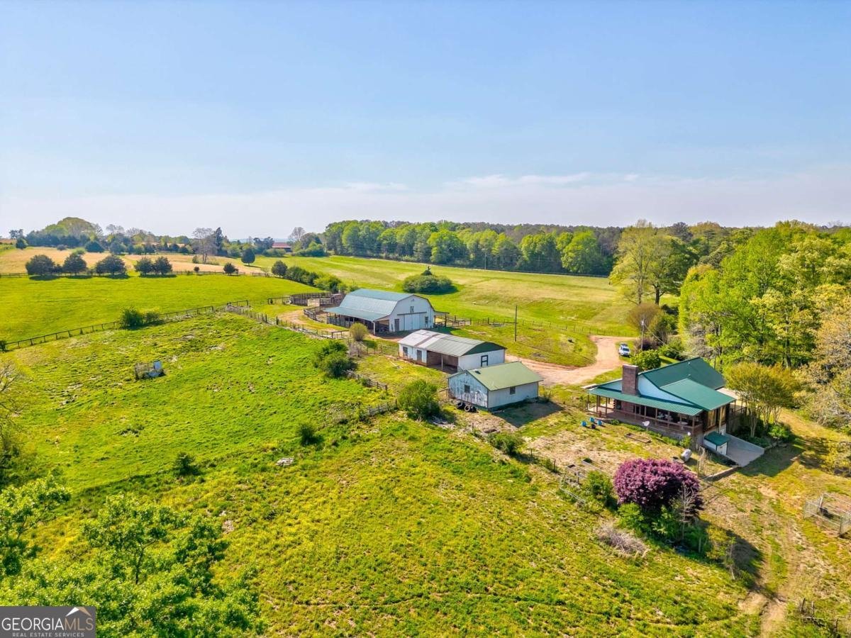 1288 Reavesville Road Bowdon - 20
