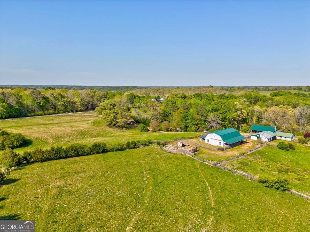 1288 Reavesville Road Bowdon - 21