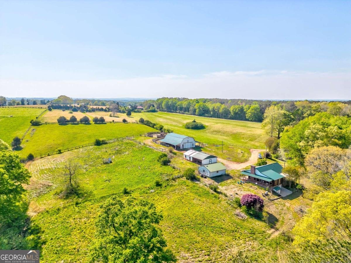 1288 Reavesville Road Bowdon - 7