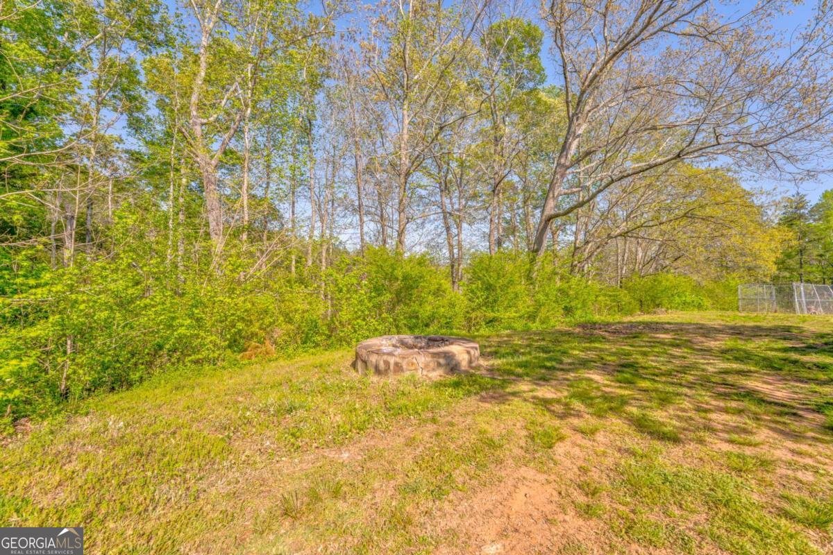 1288 Reavesville Road Bowdon - 77