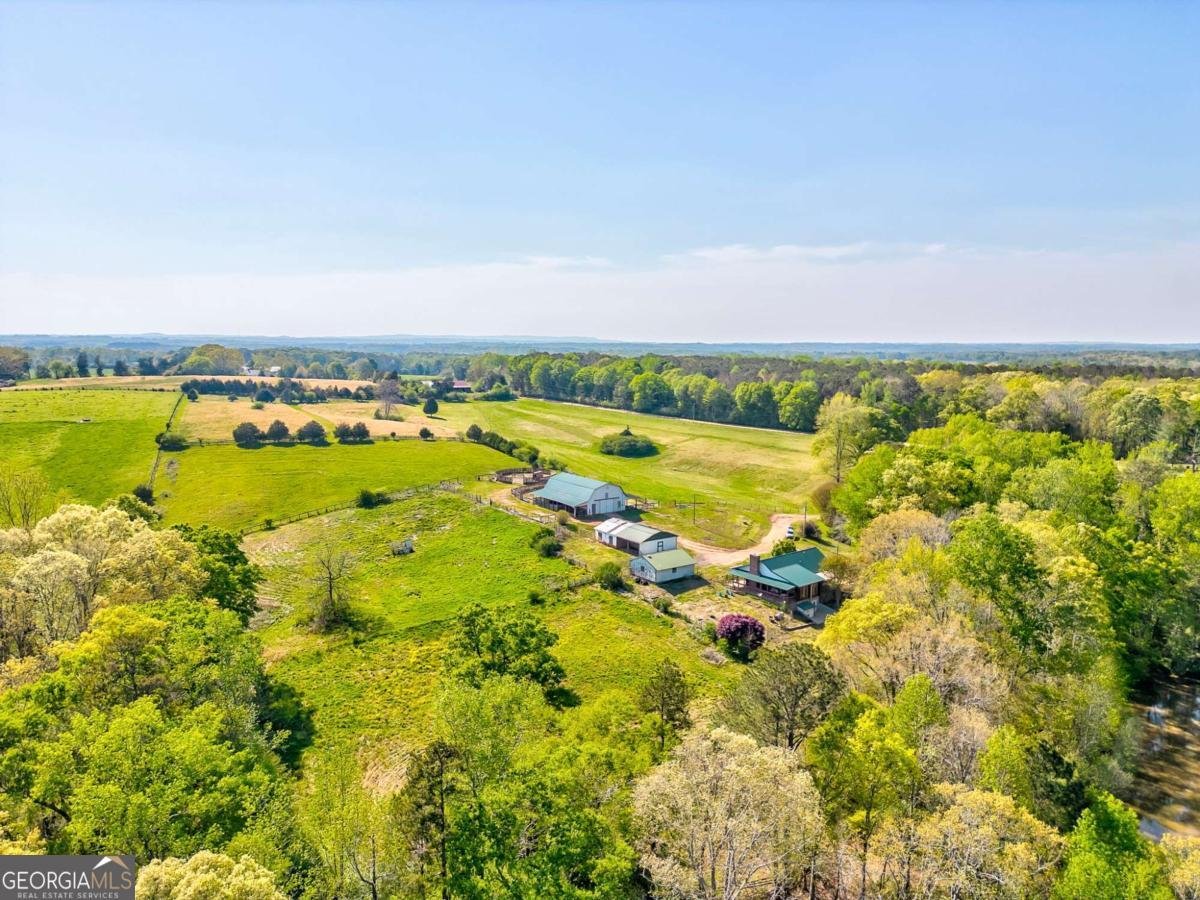 1288 Reavesville Road Bowdon - 8