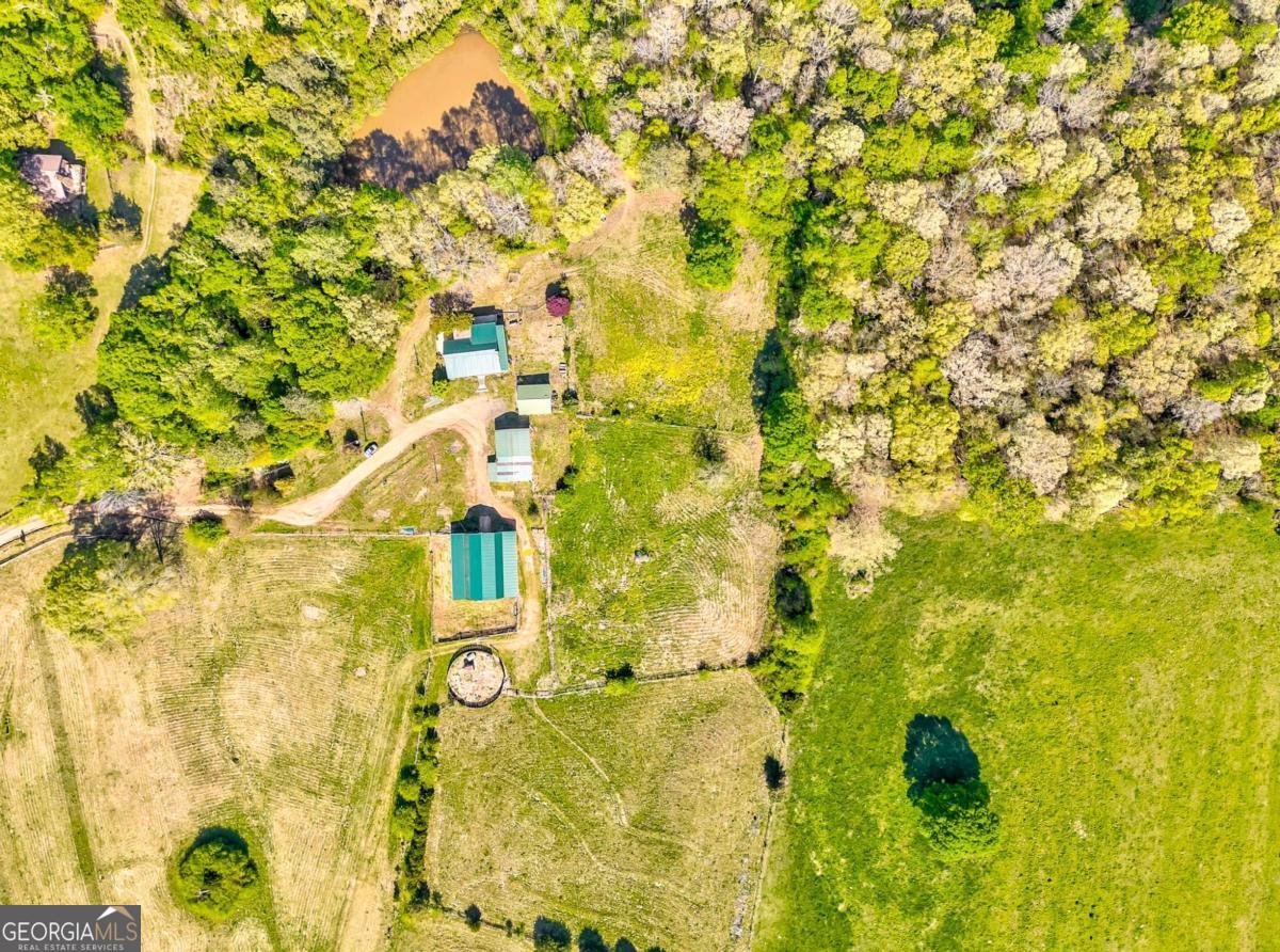 1288 Reavesville Road Bowdon - 9