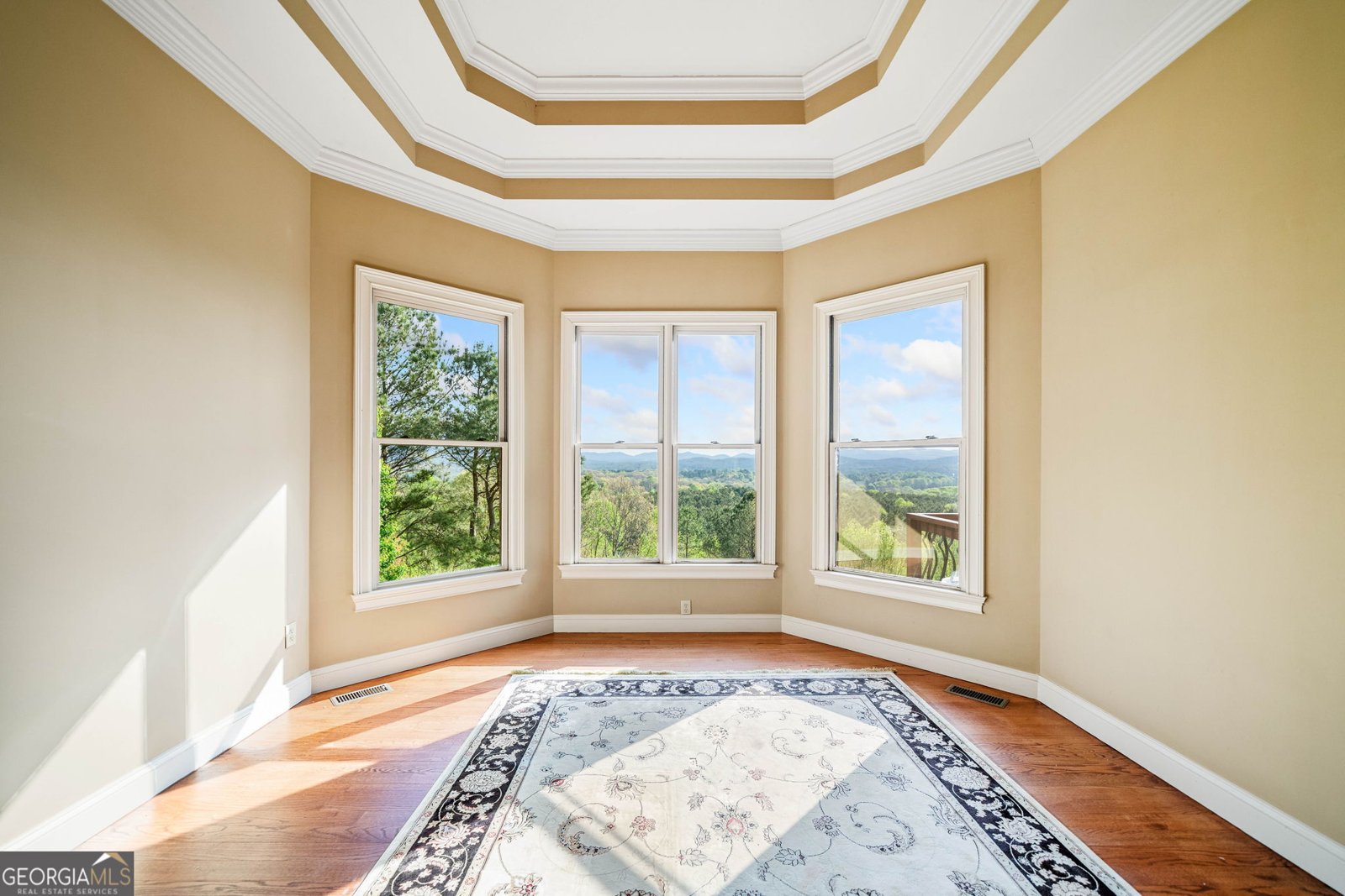 100 Fox Paw Leaf Court Ellijay - 19