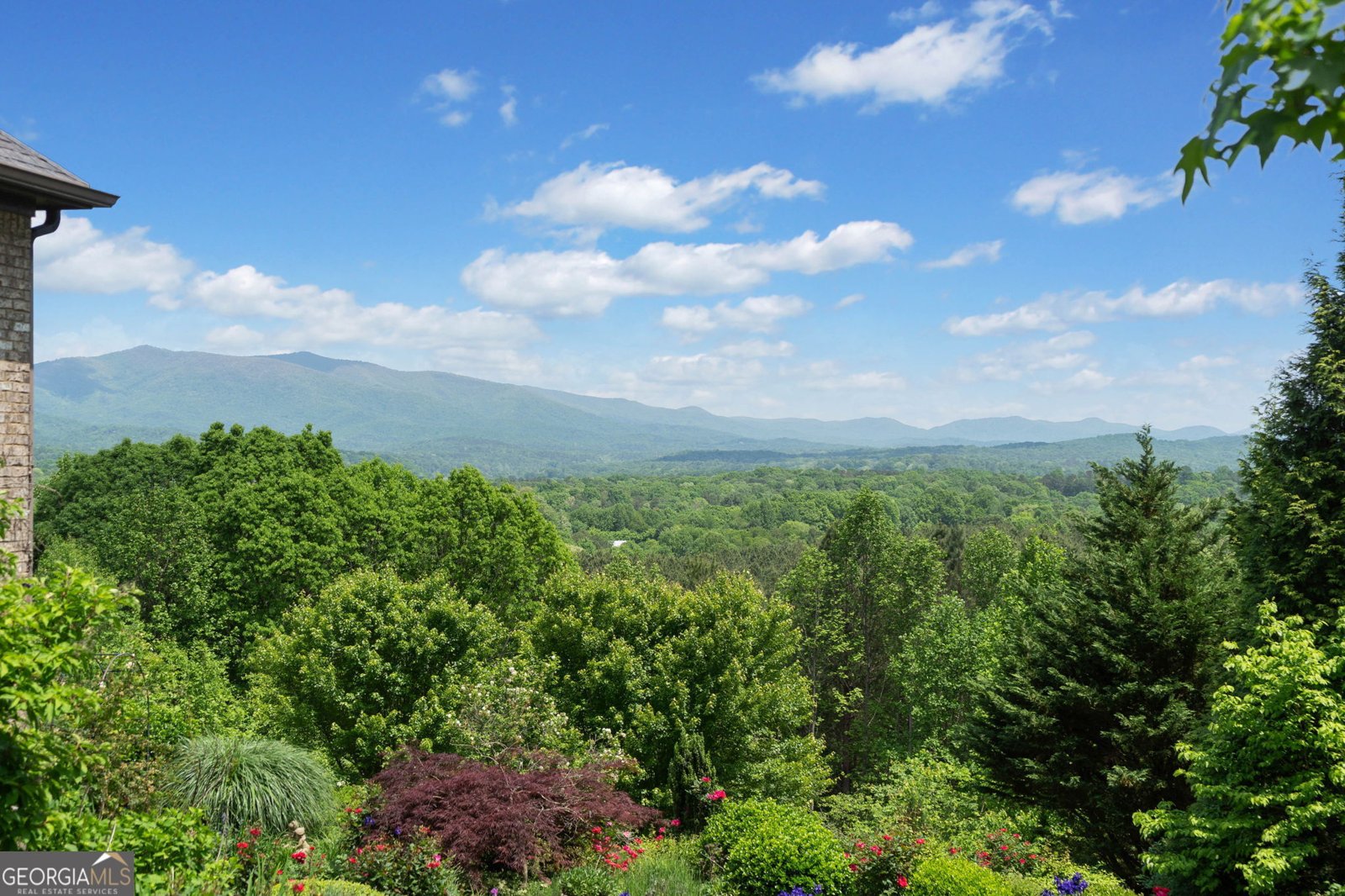 100 Fox Paw Leaf Court Ellijay - 3