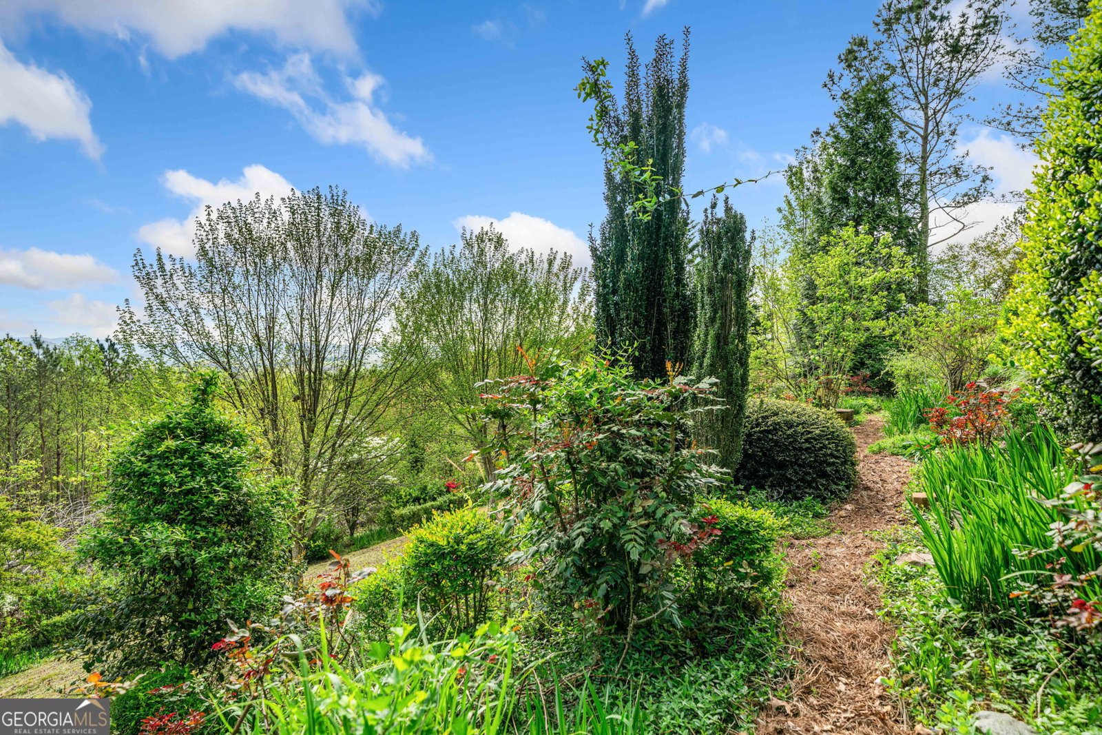 100 Fox Paw Leaf Court Ellijay - 30