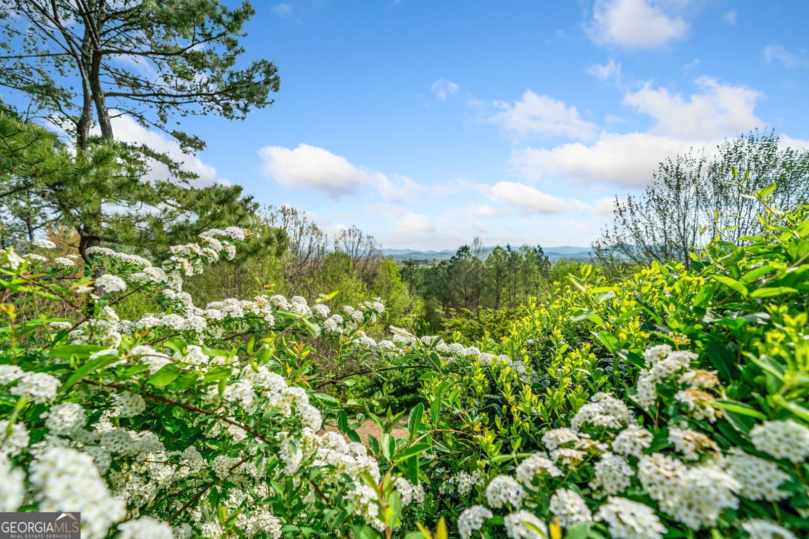 100 Fox Paw Leaf Court Ellijay - 31