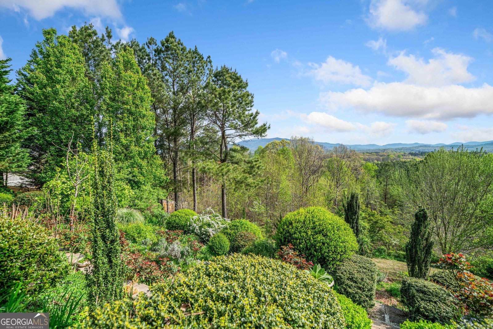 100 Fox Paw Leaf Court Ellijay - 4