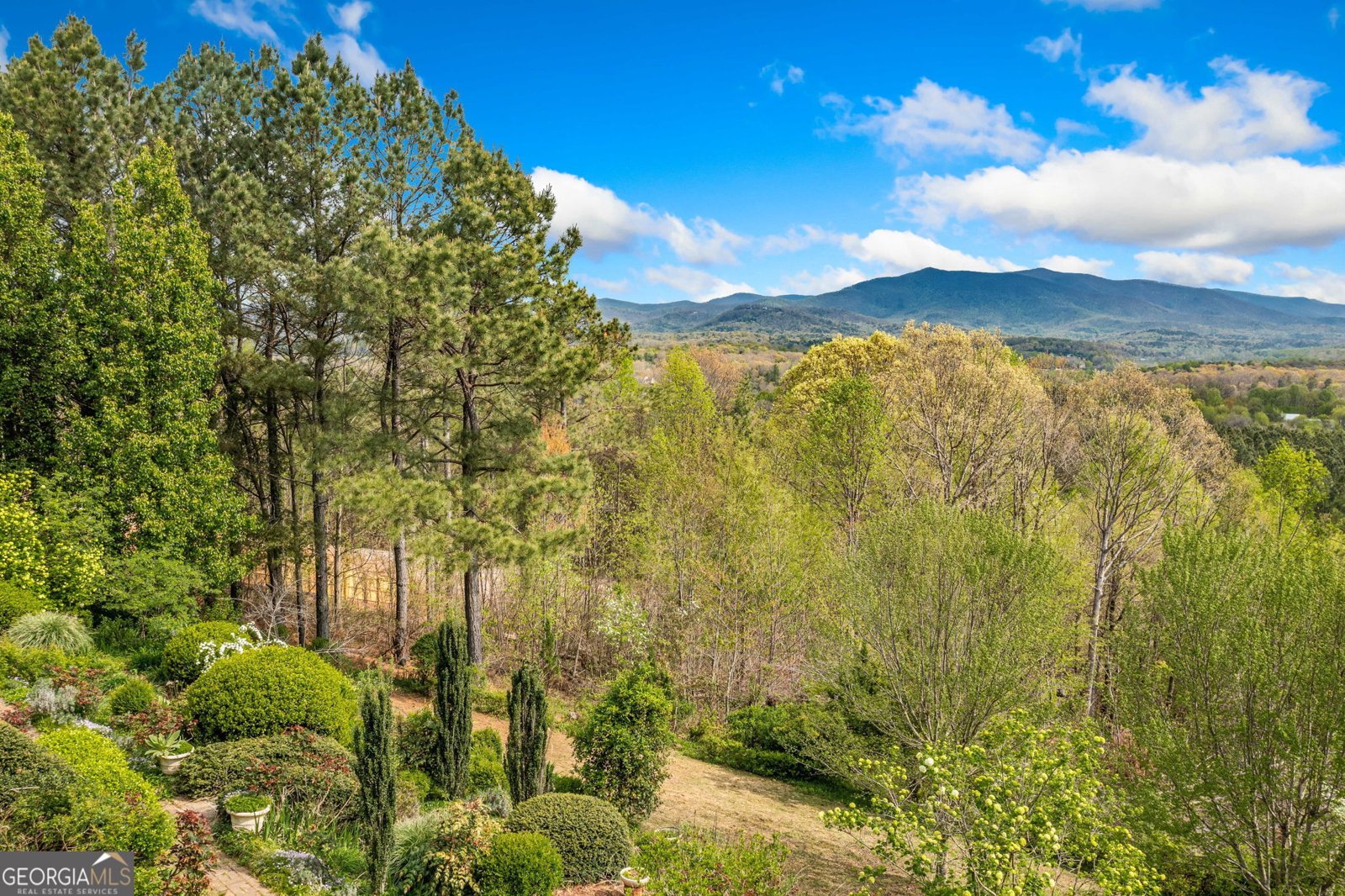 100 Fox Paw Leaf Court Ellijay - 5