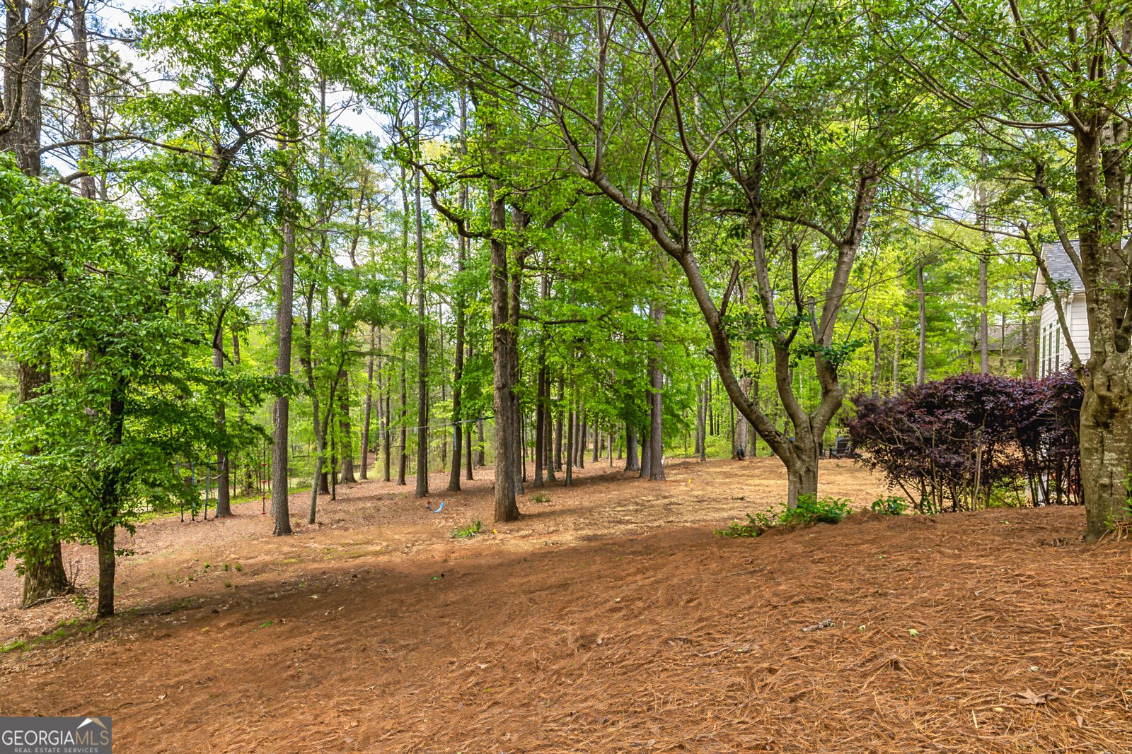 20 Jasmine Court Newnan - 51