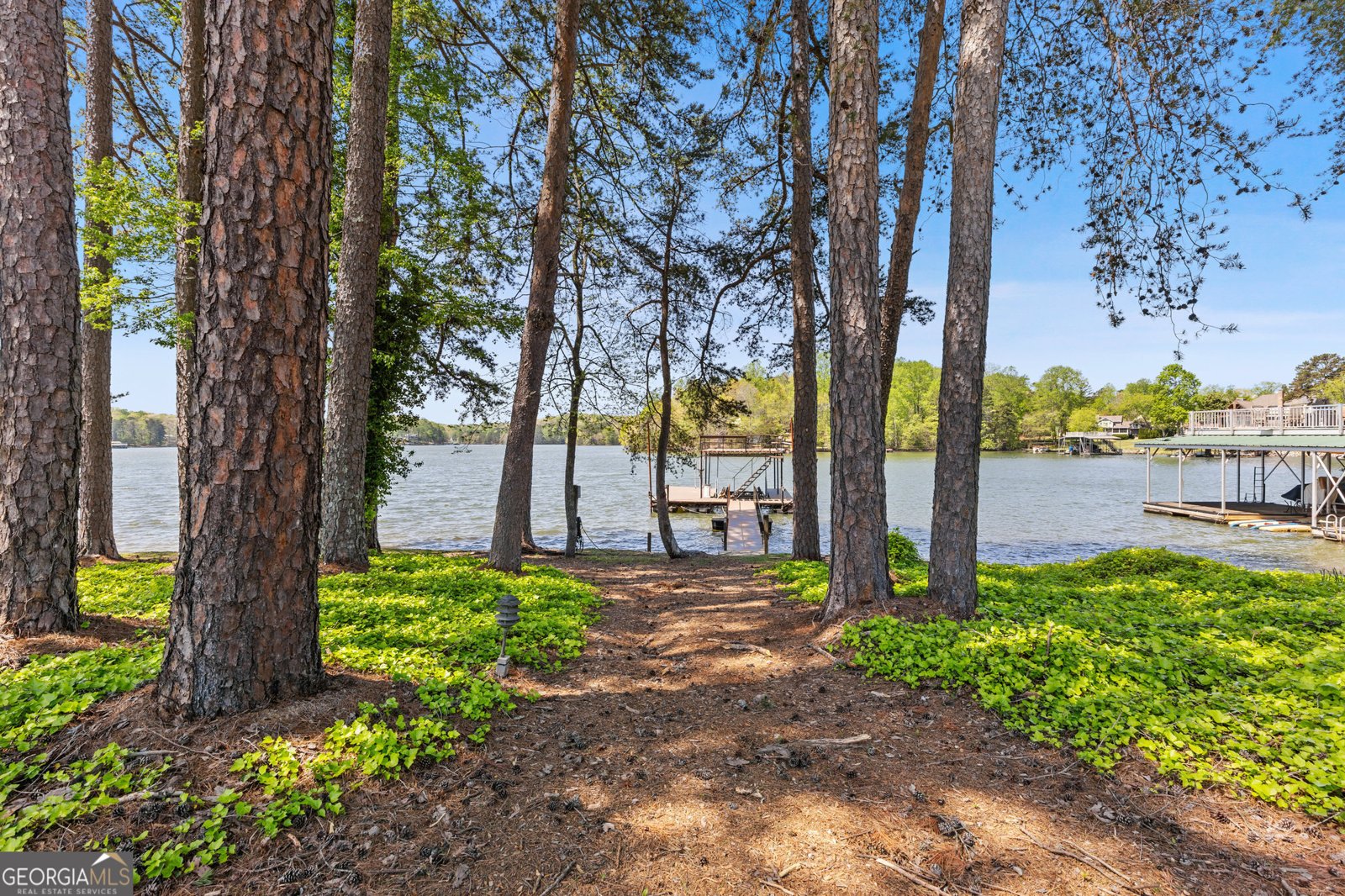 246 Overlook Circle Dawsonville - 50