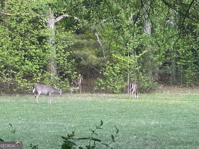 3401 CLAY Road Austell - 41