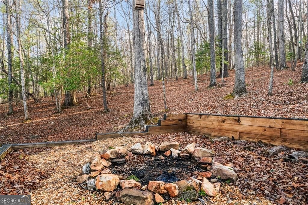 494 Weeks Creek Road Blue Ridge - 36