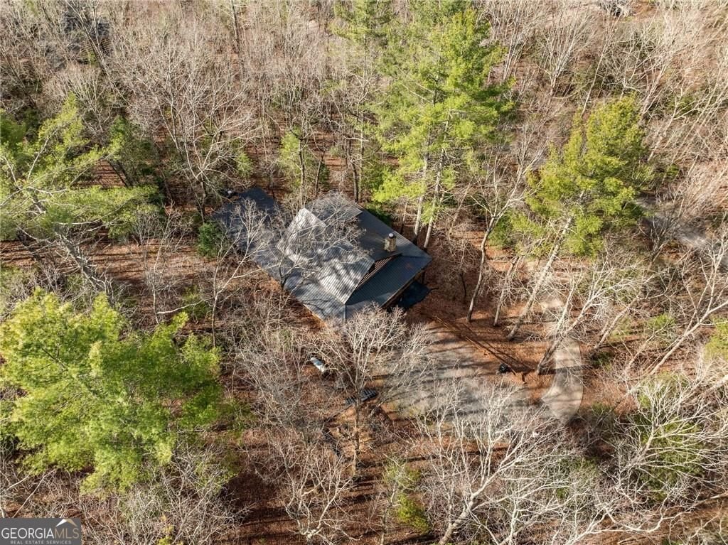494 Weeks Creek Road Blue Ridge - 37