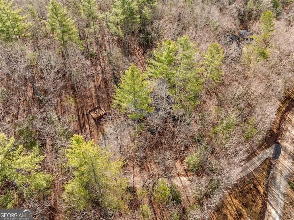 494 Weeks Creek Road Blue Ridge - 38