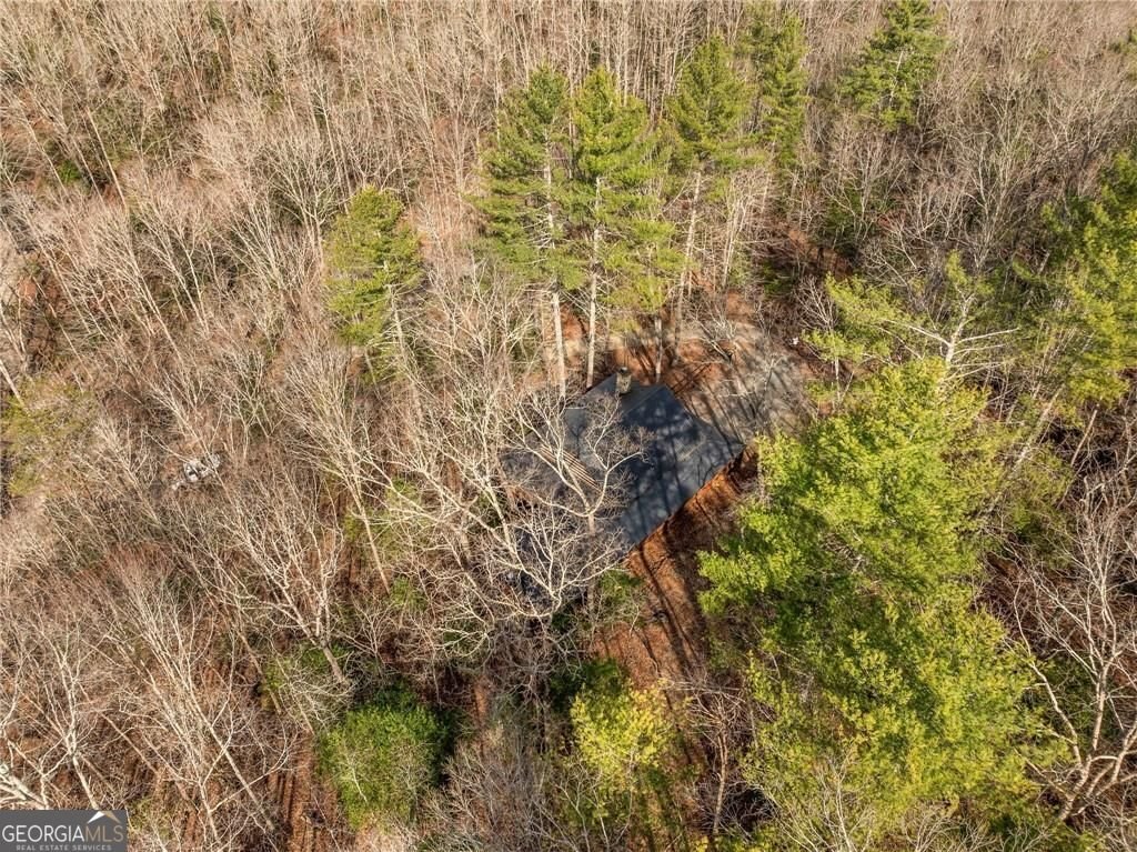 494 Weeks Creek Road Blue Ridge - 39