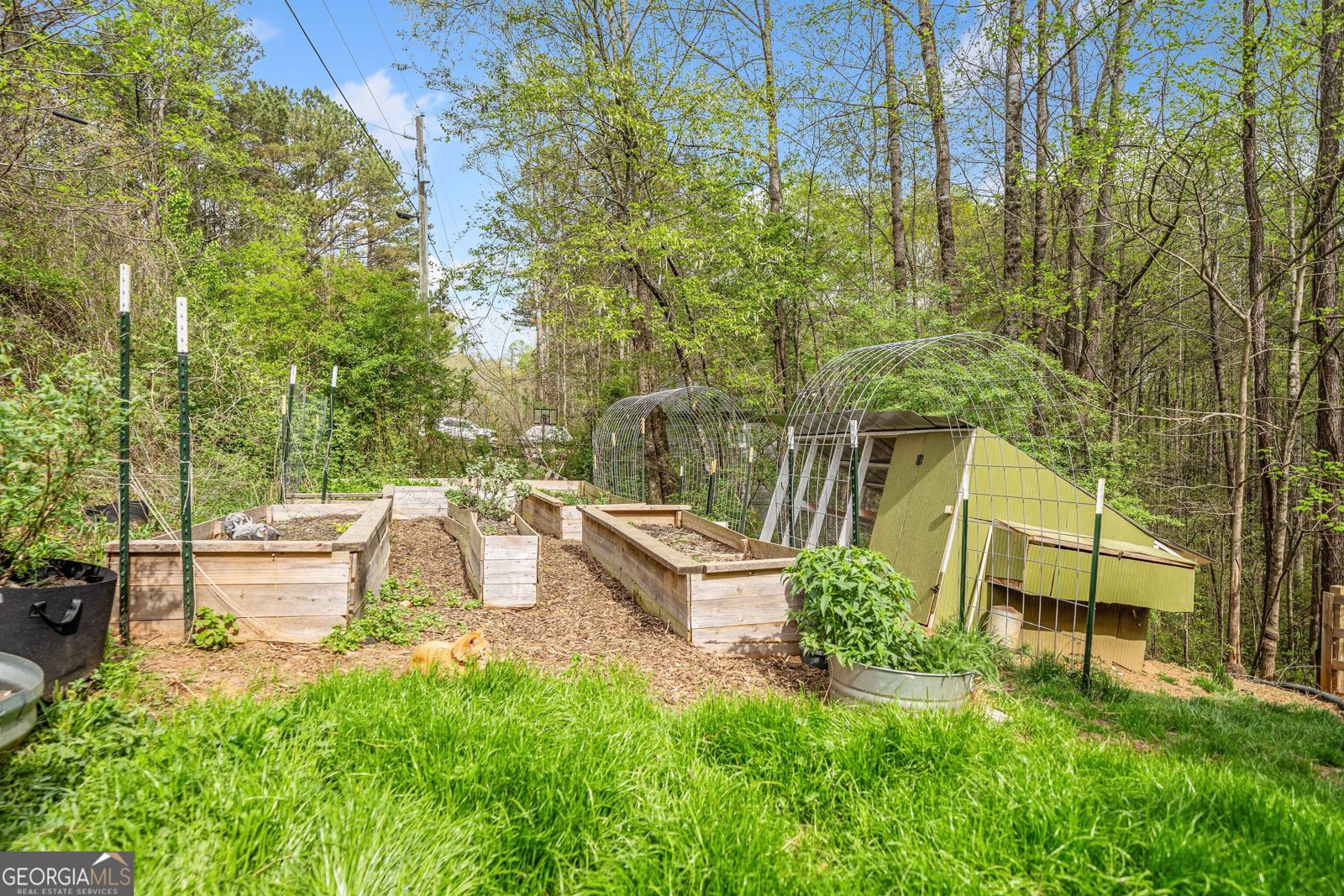 524 Allison Lane Ball Ground - 35