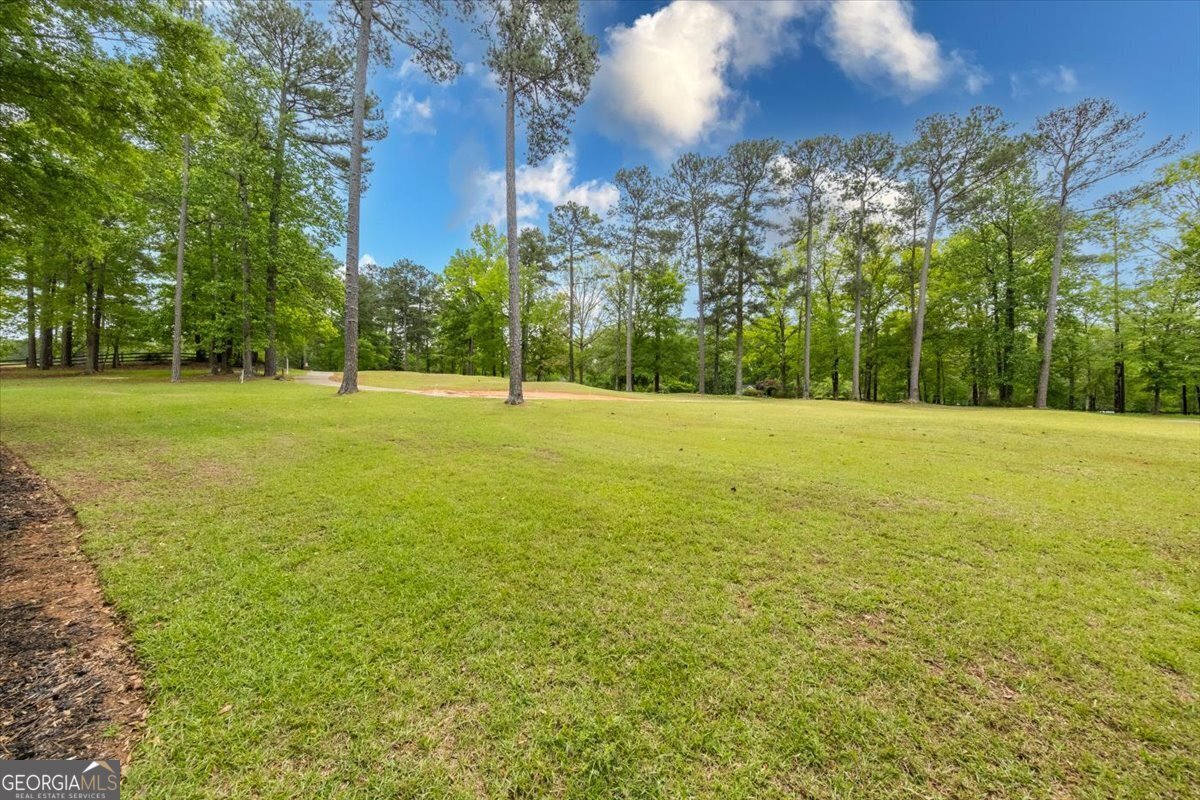 160 Barrington Hall Drive Macon - 12