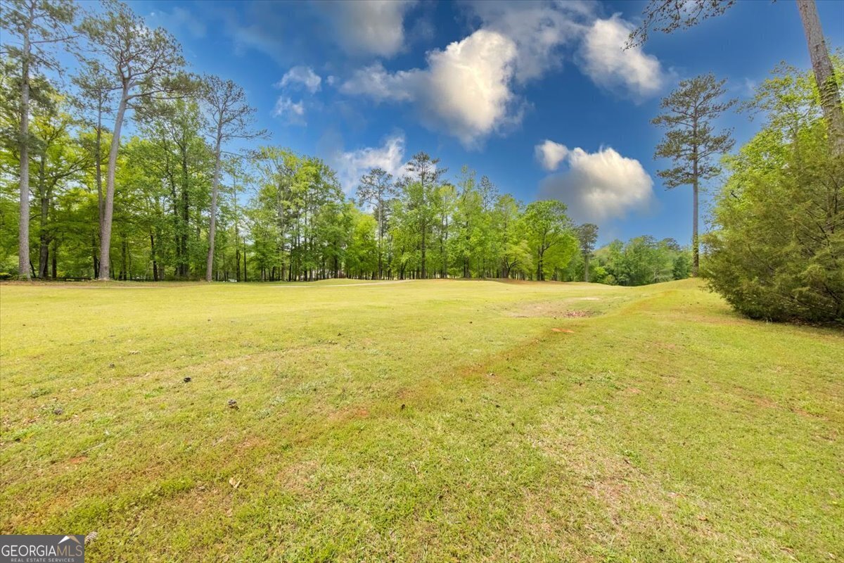 160 Barrington Hall Drive Macon - 13