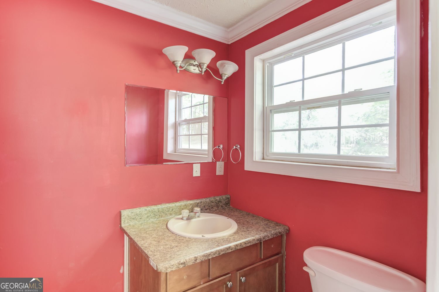476 Walnut Road Hoschton - 62