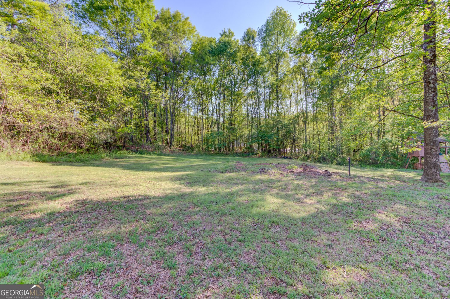476 Walnut Road Hoschton - 66