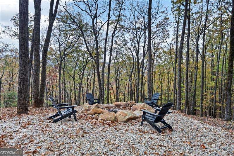 1250 Lost Forest Road Ellijay - 50