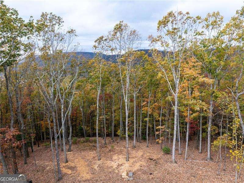 1250 Lost Forest Road Ellijay - 53