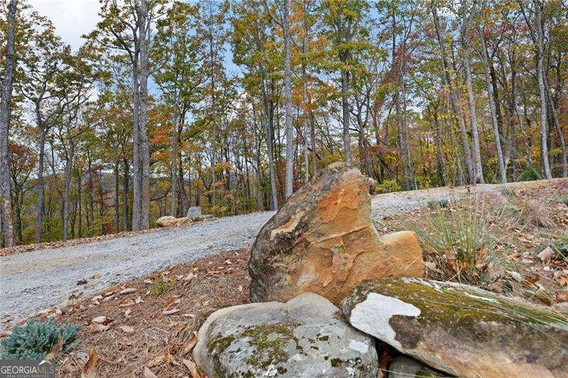 1250 Lost Forest Road Ellijay - 58