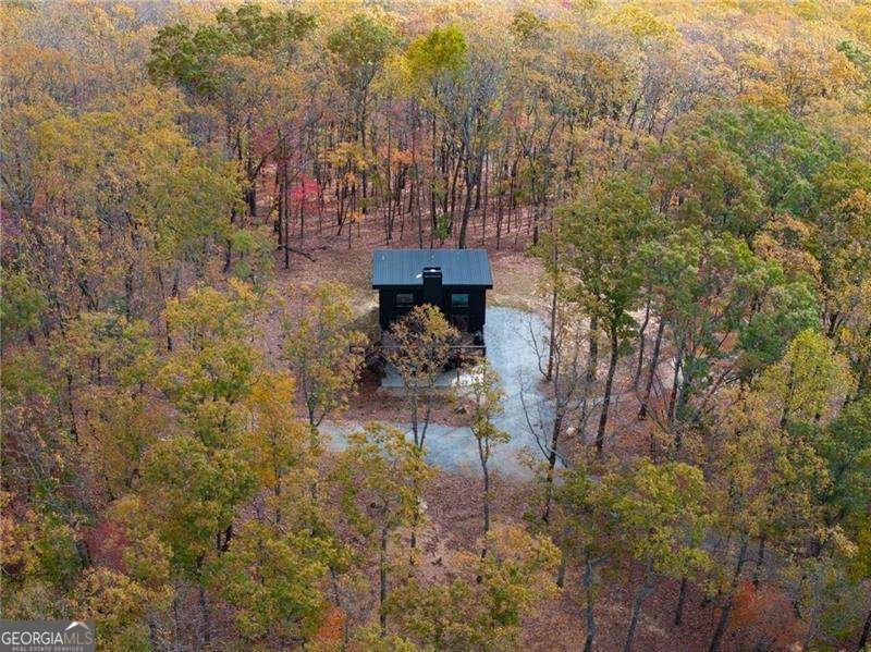 1250 Lost Forest Road Ellijay - 63