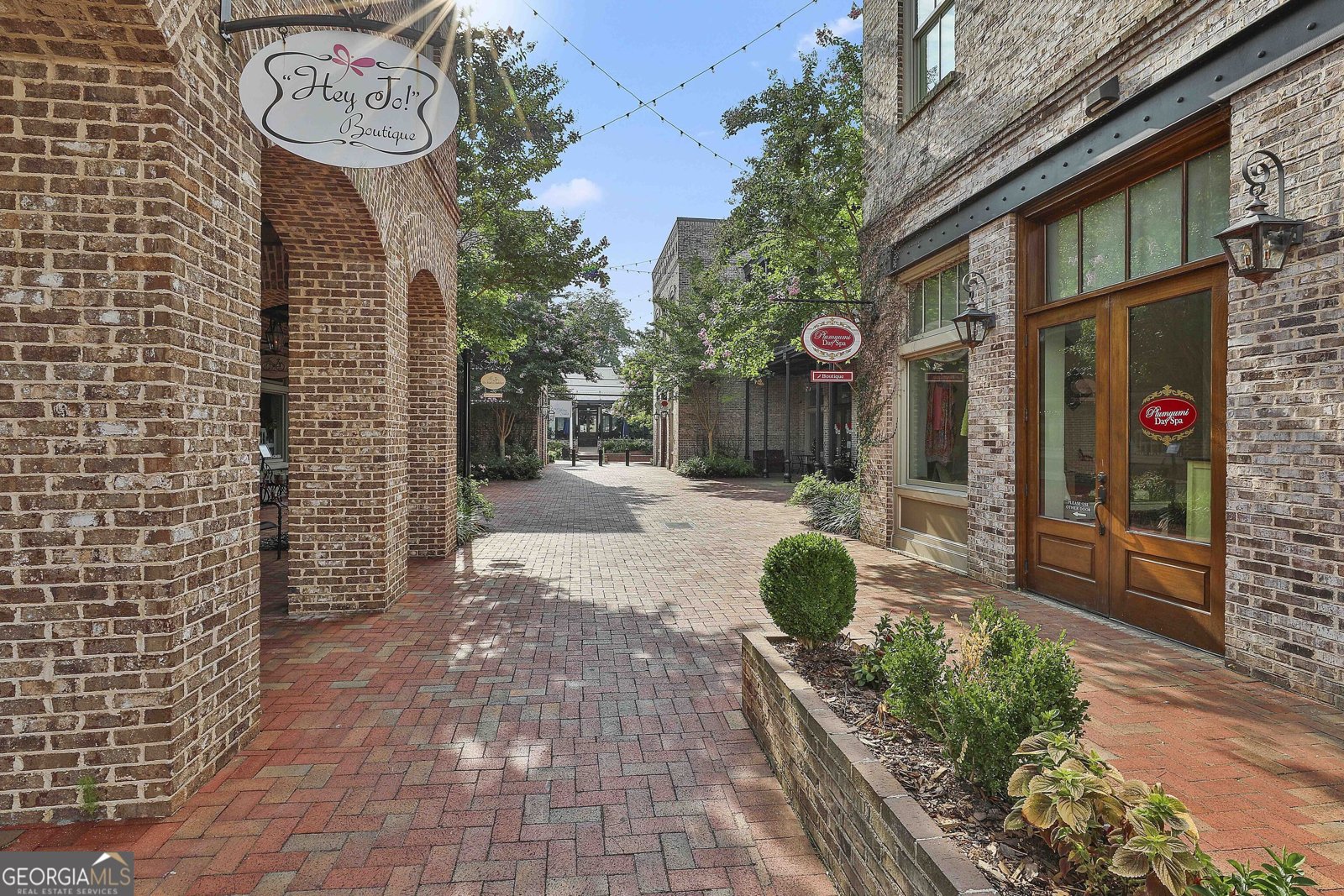 150 Pinedale Lane Senoia - 46