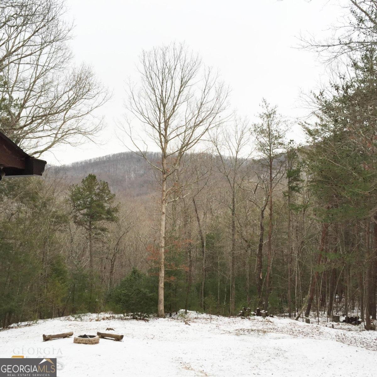58 Peach Lane Ellijay - 11