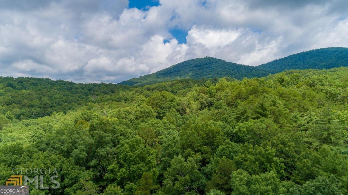 58 Peach Lane Ellijay - 3