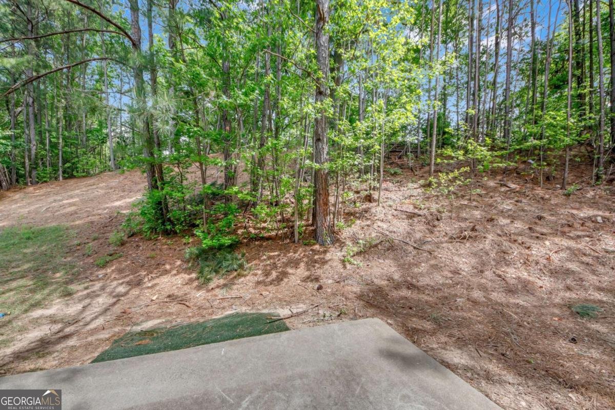 2640 Thunder Basin Way Douglasville - 31
