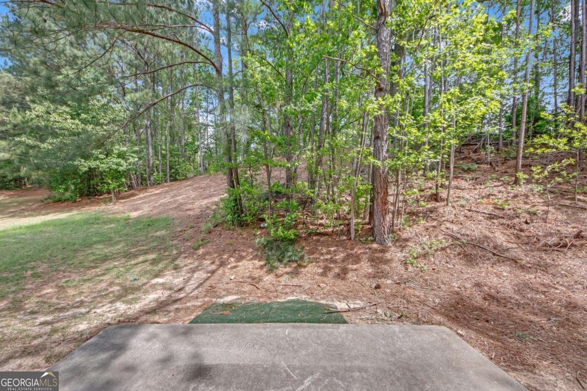 2640 Thunder Basin Way Douglasville - 32
