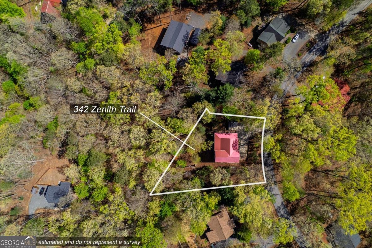 342 Zenith Trail Ellijay - 26
