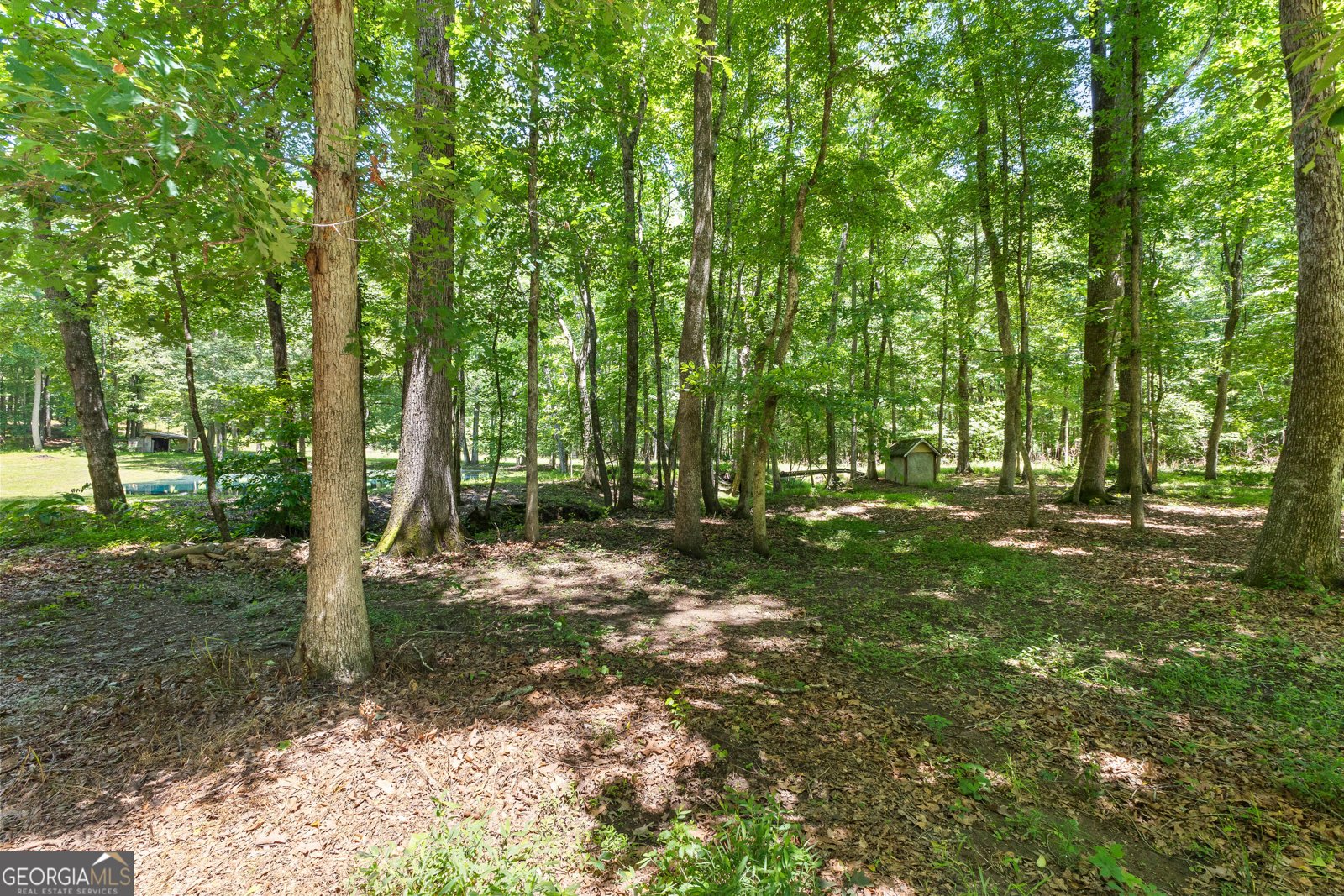 335 Winding Stream Trail Hampton - 15