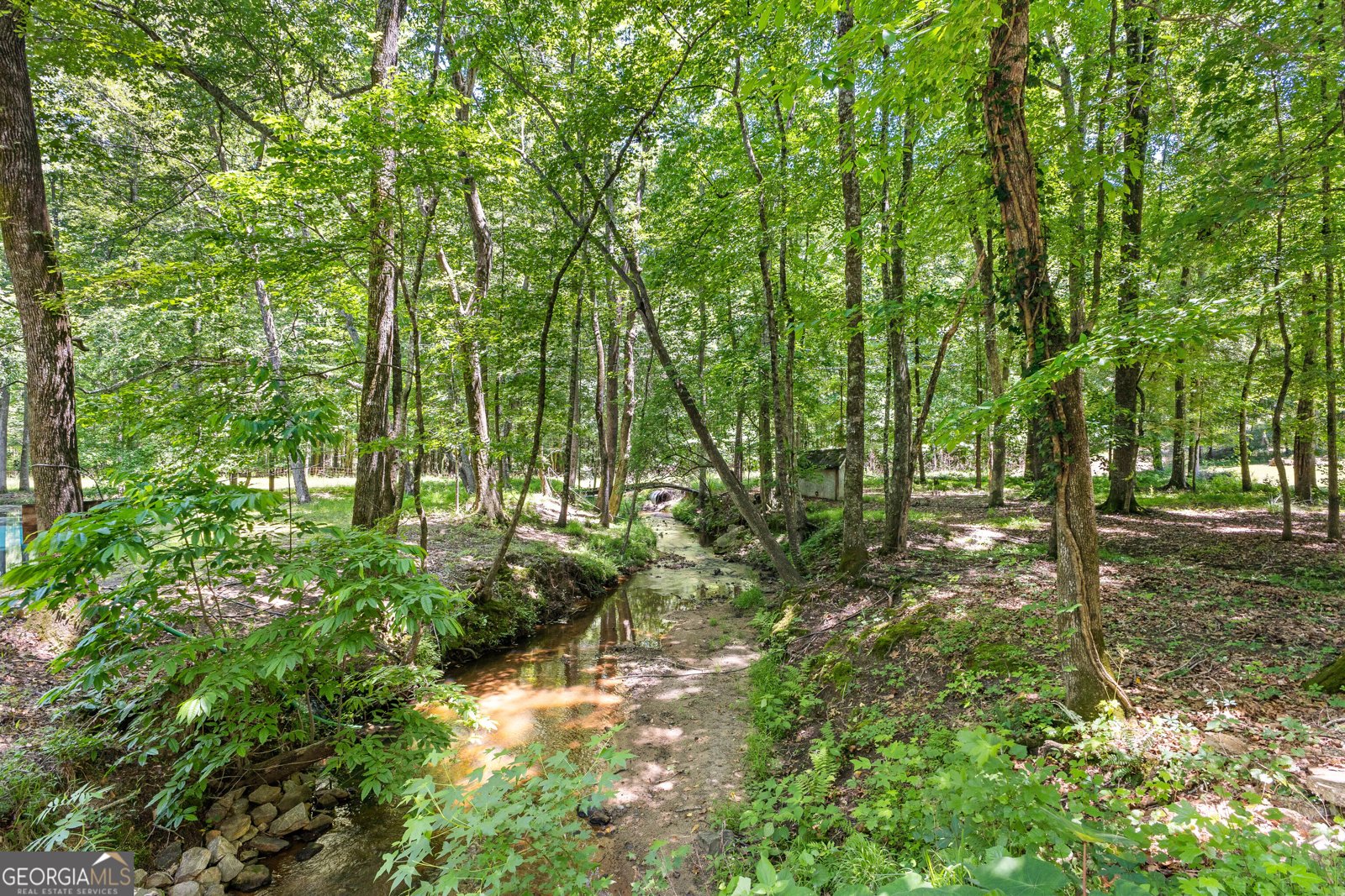 335 Winding Stream Trail Hampton - 16