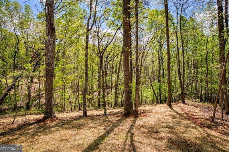 5535 Chestatee Landing Way Gainesville - 10