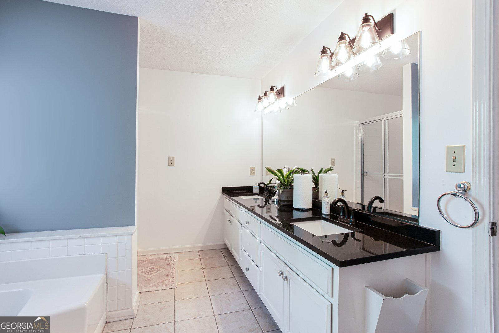 3612 TREE VIEW Drive Snellville - 30