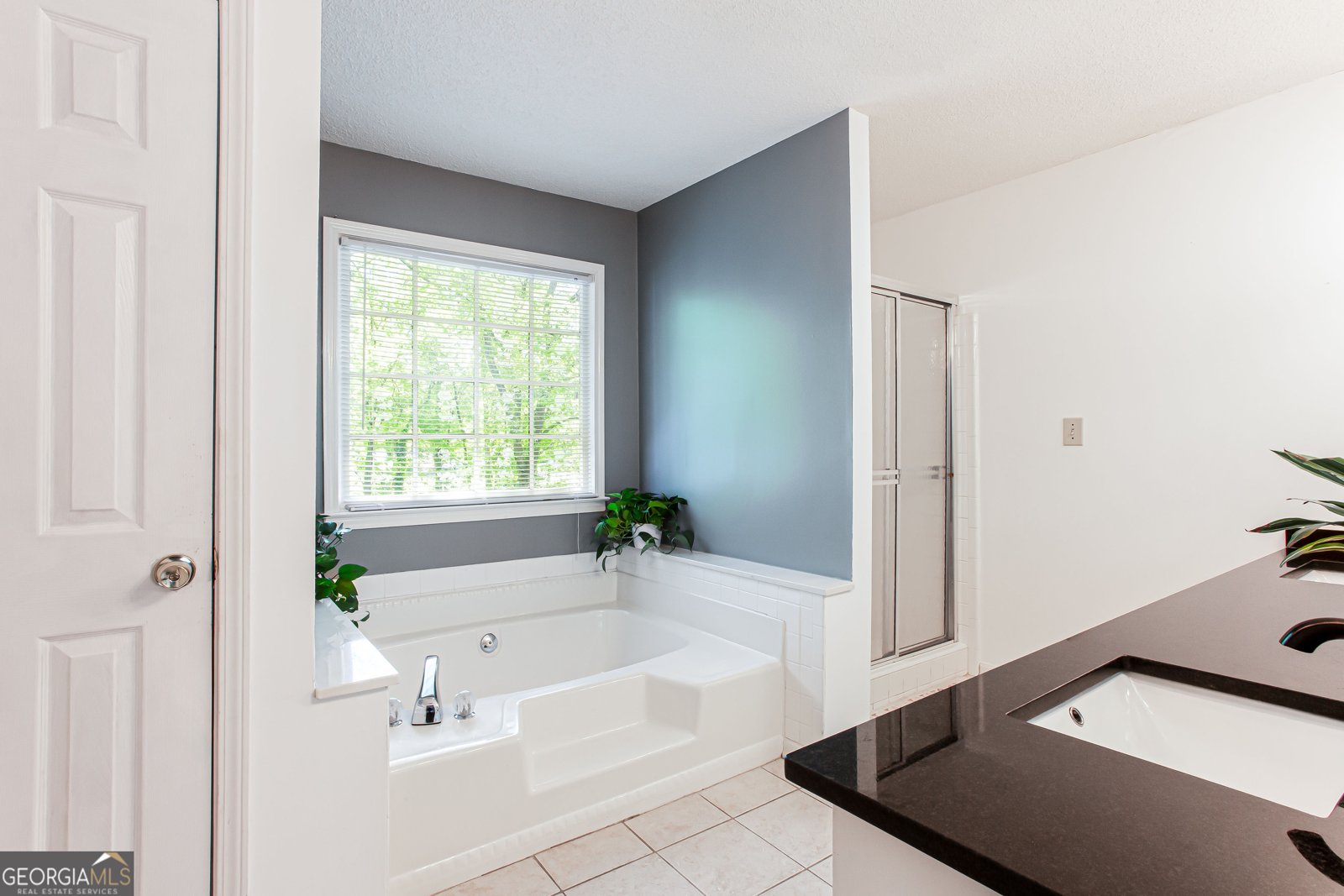 3612 TREE VIEW Drive Snellville - 31