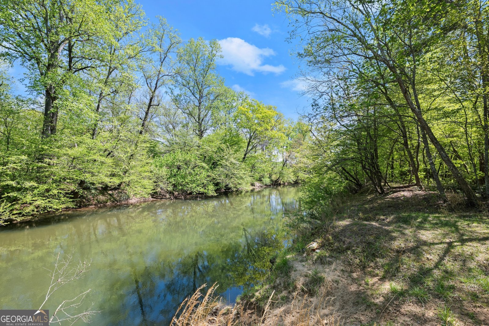167 Portwood Drive Cleveland - 46