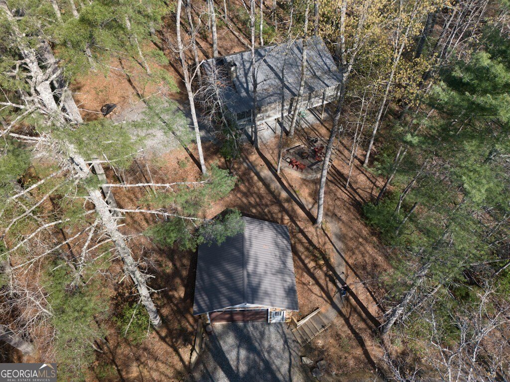 250 Chinkapin Drive Blue Ridge - 35