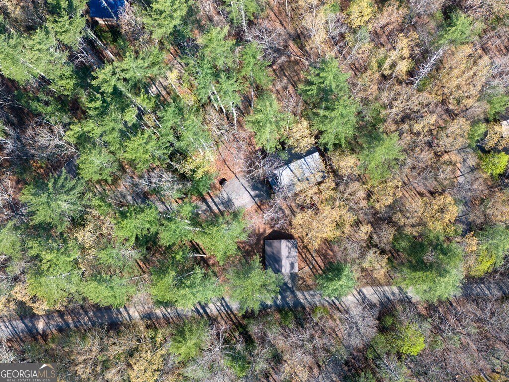 250 Chinkapin Drive Blue Ridge - 36