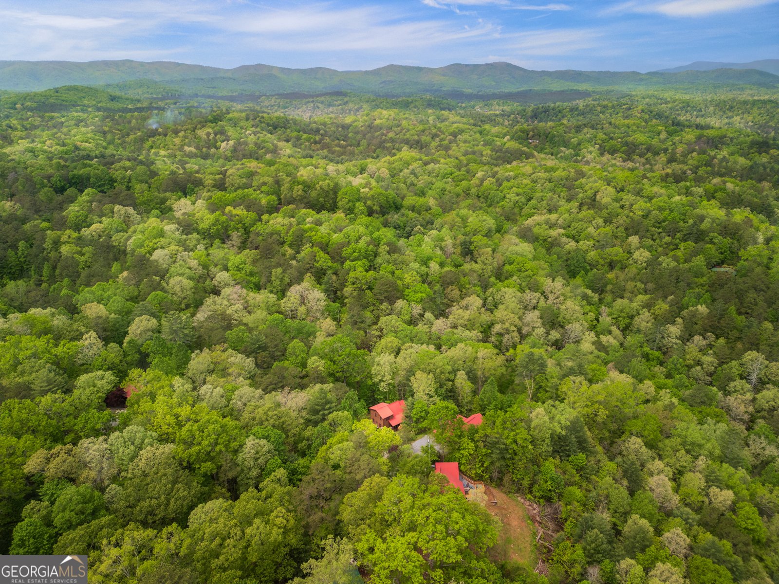169 Wildwood Court Ellijay - 26