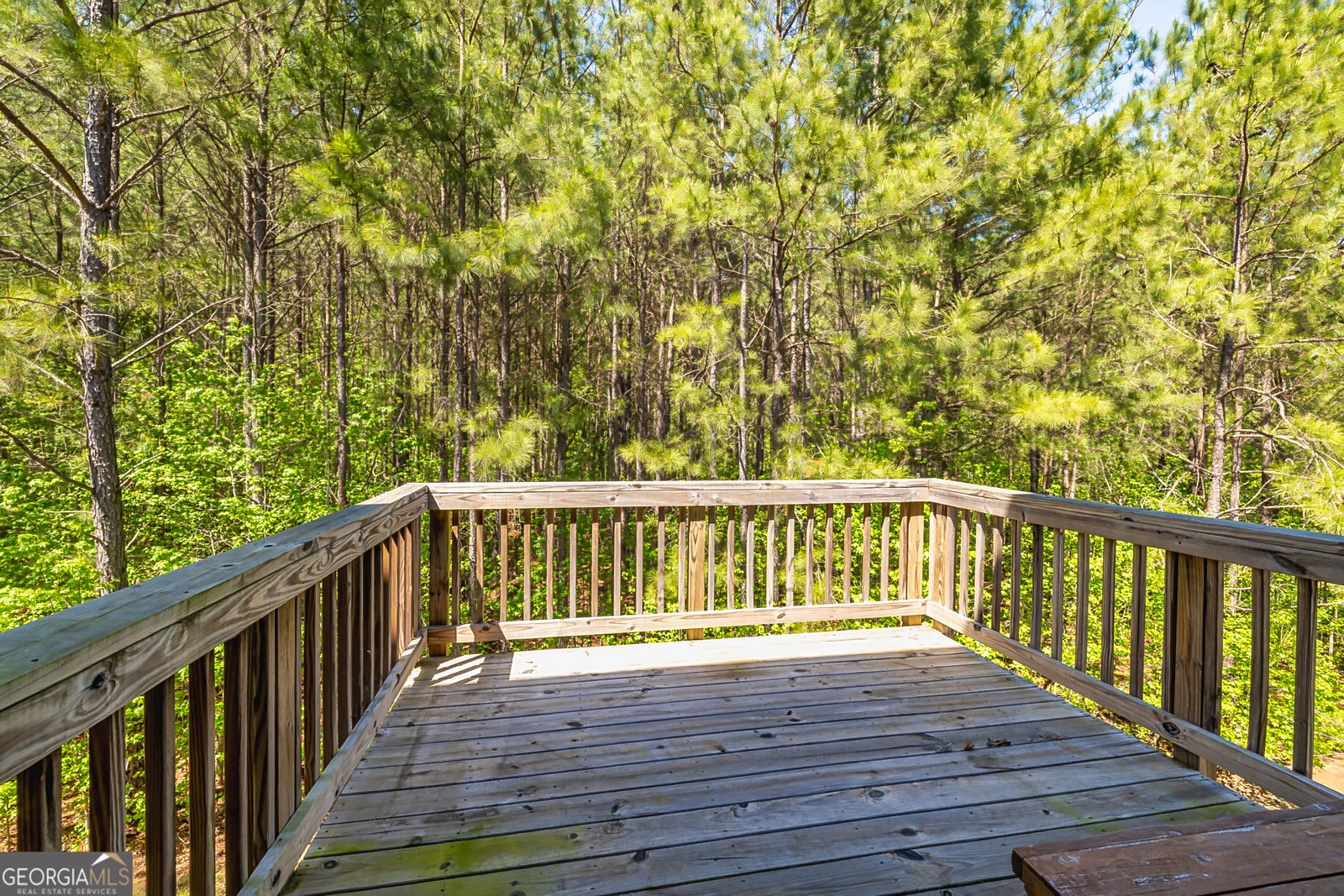 14 Ulsh Park Drive Newnan - 28